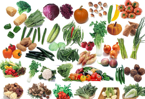 7-蔬菜烘干機(2)