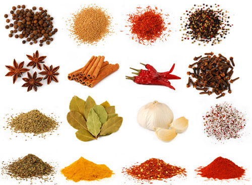 10-調味品烘干機